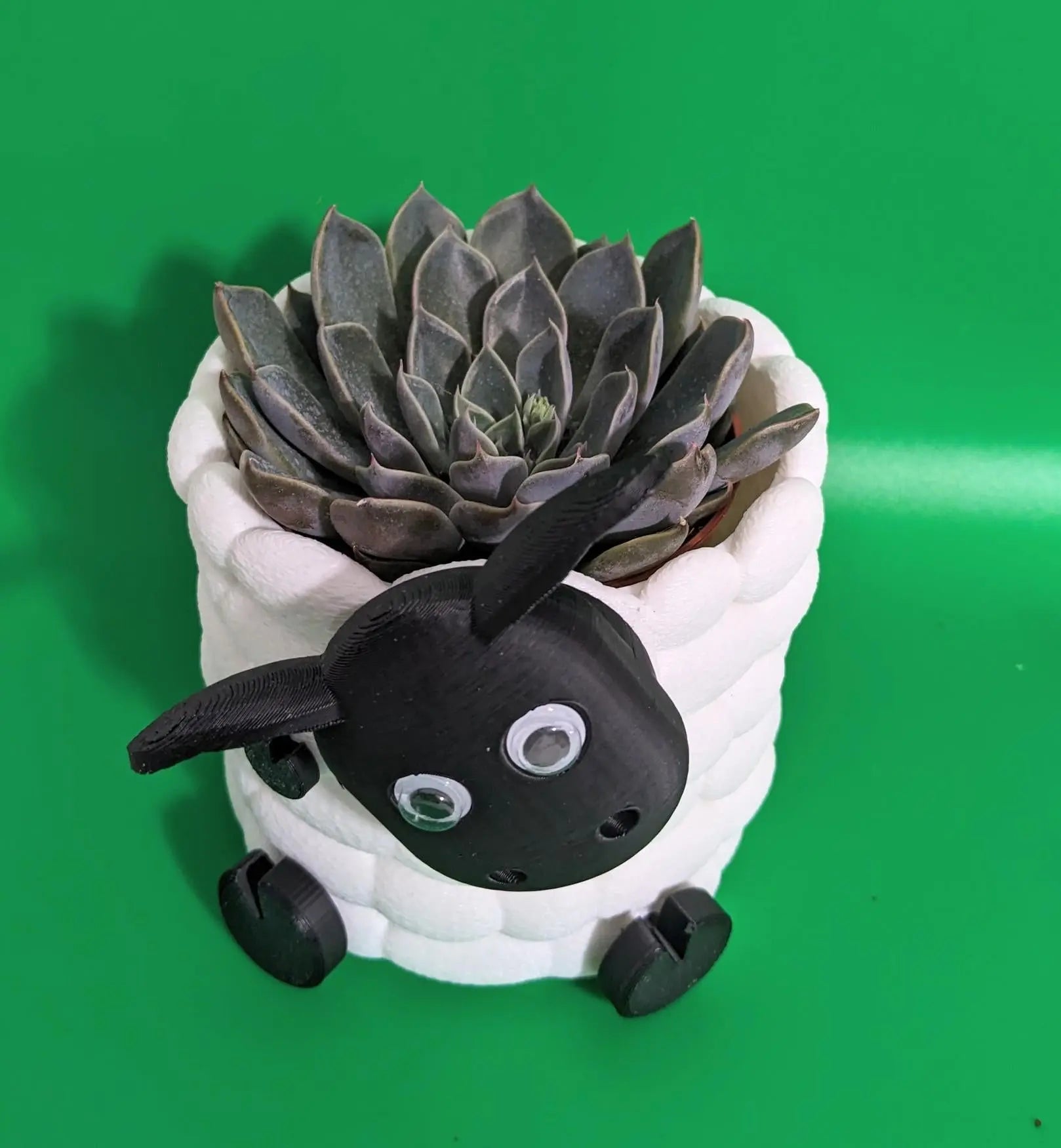 Chaddyverse Sheep Succulent Planter – 3D Printed Animal Plant Pot