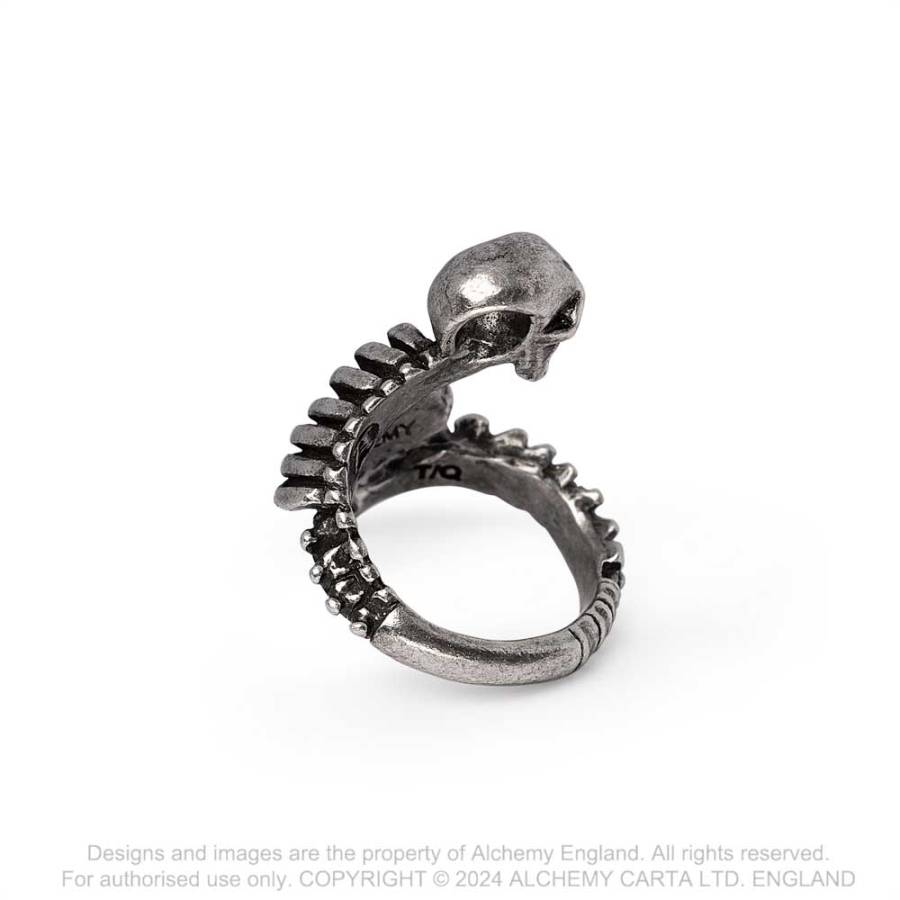 Alchemy Gothic Resurrected Skull Rib Cage Ring | Fine English Pewter