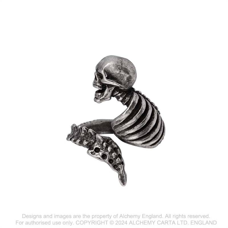 Alchemy Gothic Resurrected Skull Rib Cage Ring | Fine English Pewter