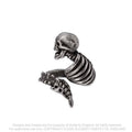 Alchemy Gothic Resurrected Skull Rib Cage Ring | Fine English Pewter