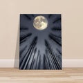 Ethereal Night Landscape Canvas – Glowing Moon & Forest Scene