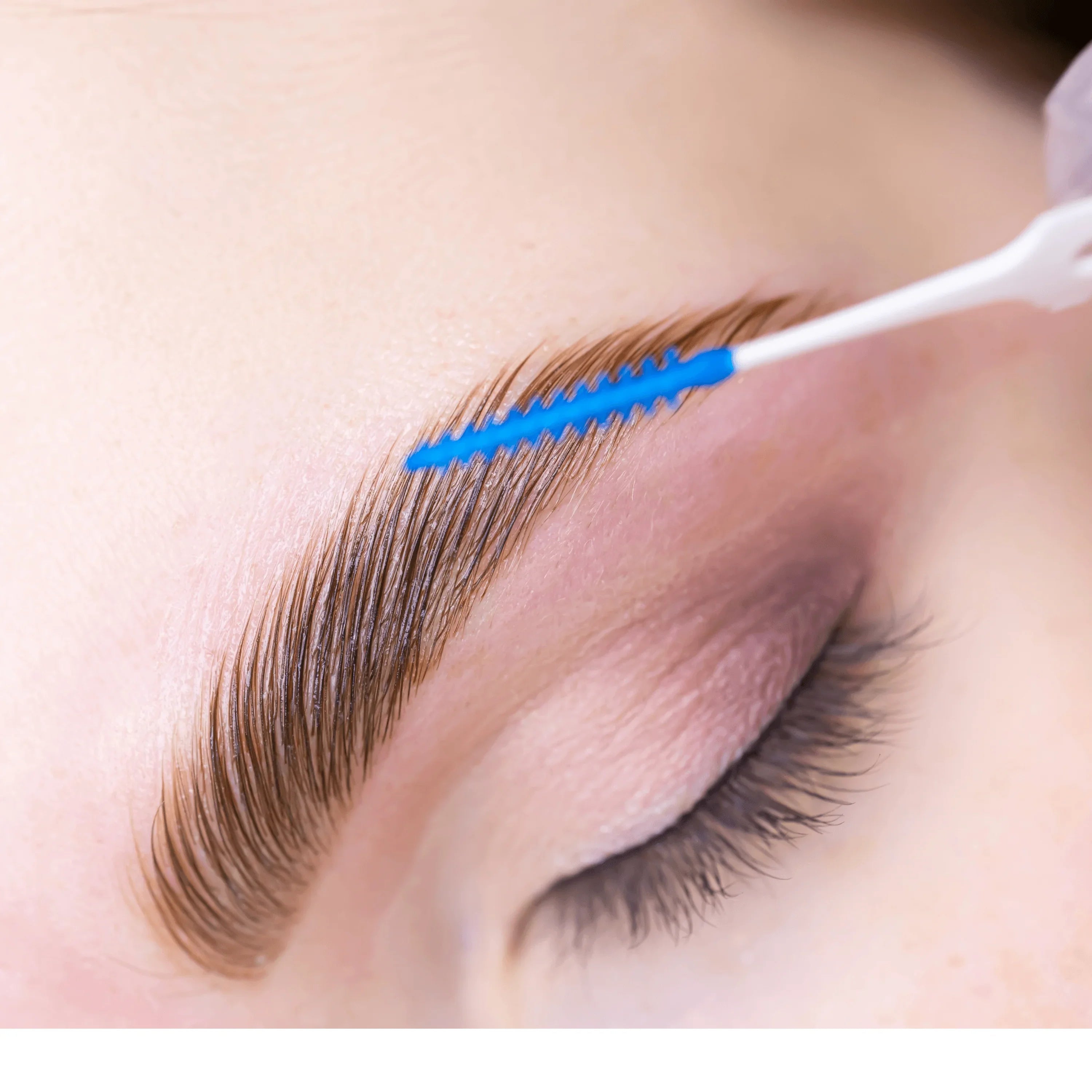 The London Brow Company | Editable Brow Lamination Training Manual