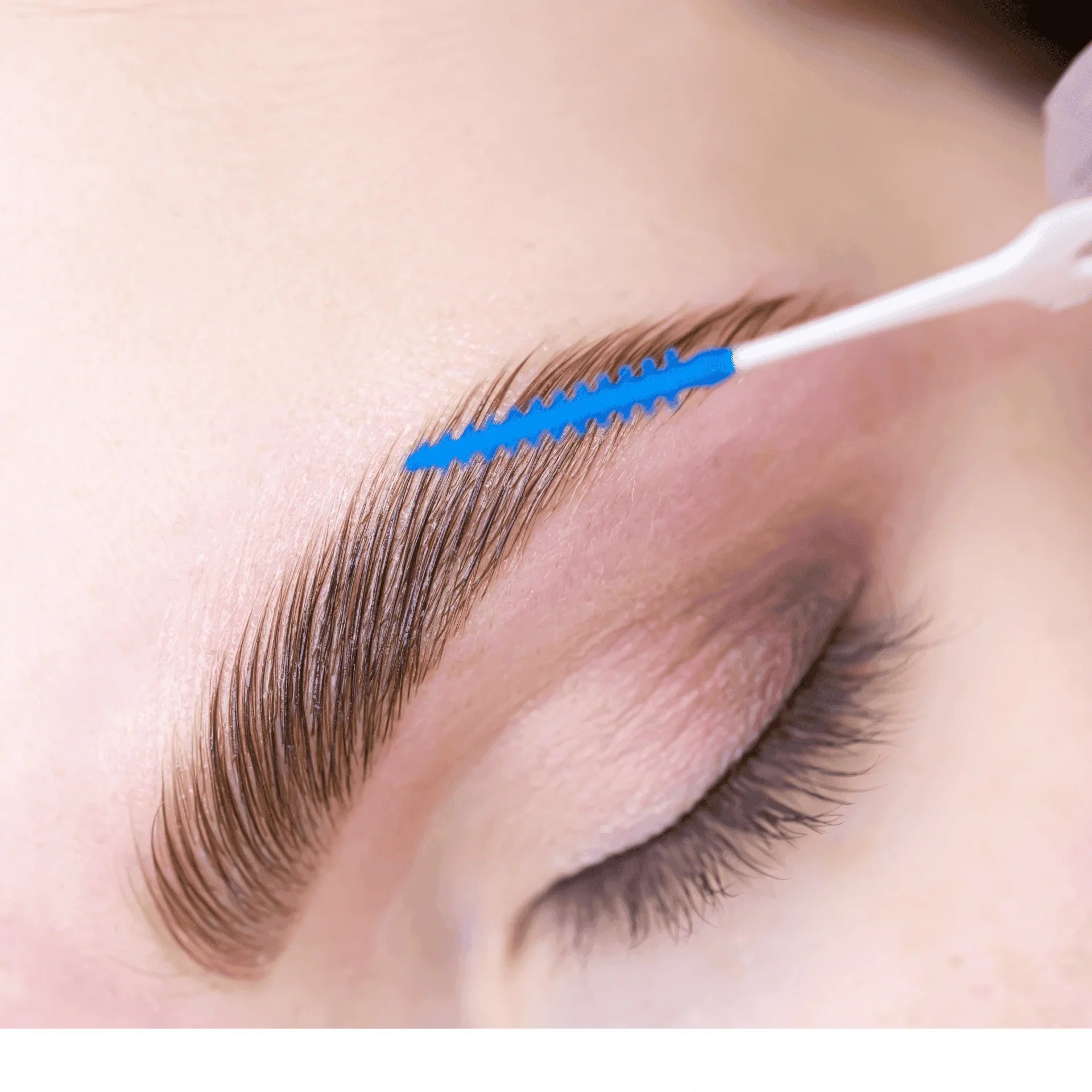 London Brow Lamination, Waxing & Tinting Online Course Bundle