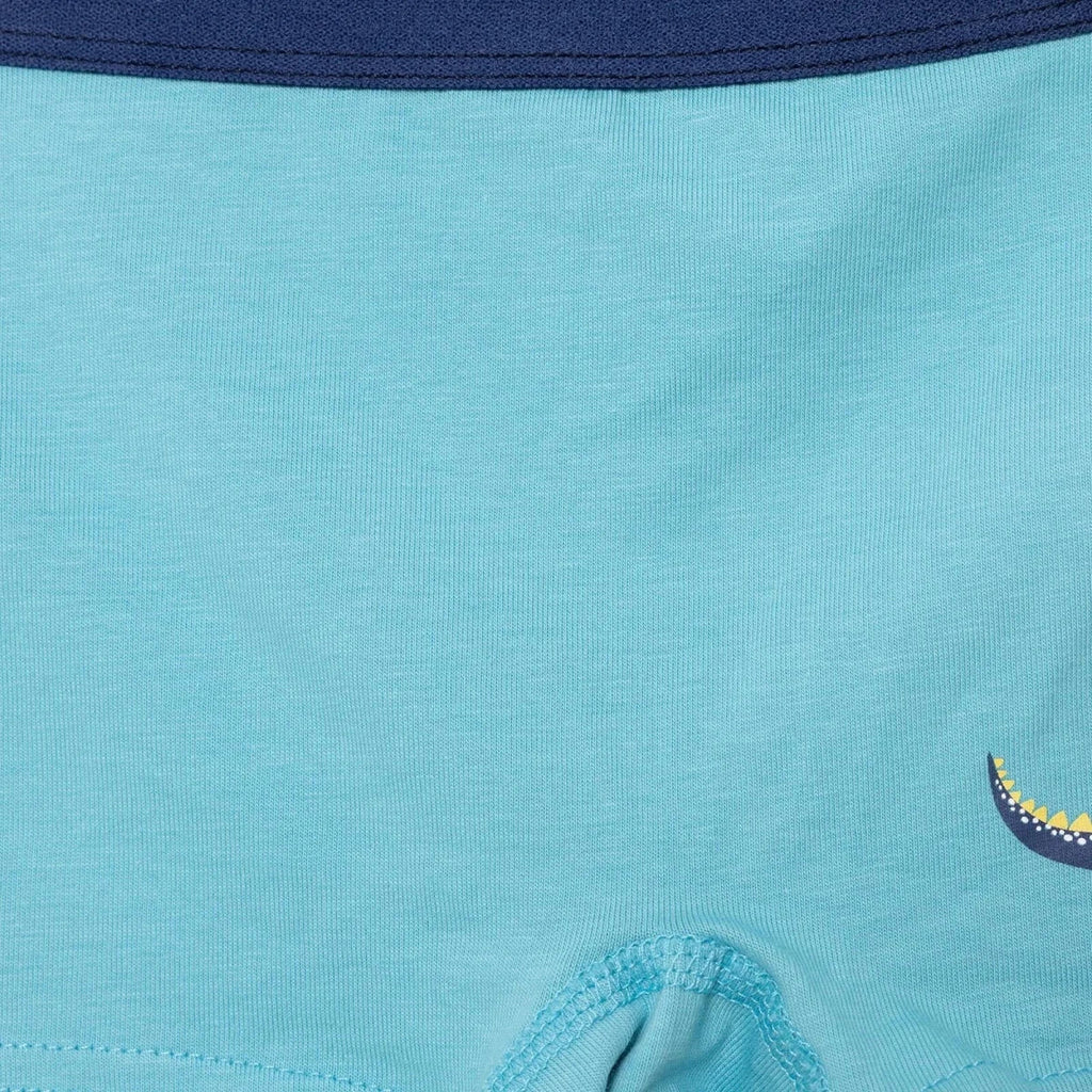 HelloBaby Boys Knickers Dinosaur - Blue
