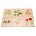 British Wildflowers Puzzles
