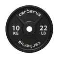 Cerberus Strength Cast Iron Olympic Plates – Old School Weight Plates