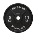 Cerberus Strength Cast Iron Olympic Plates – Old School Weight Plates