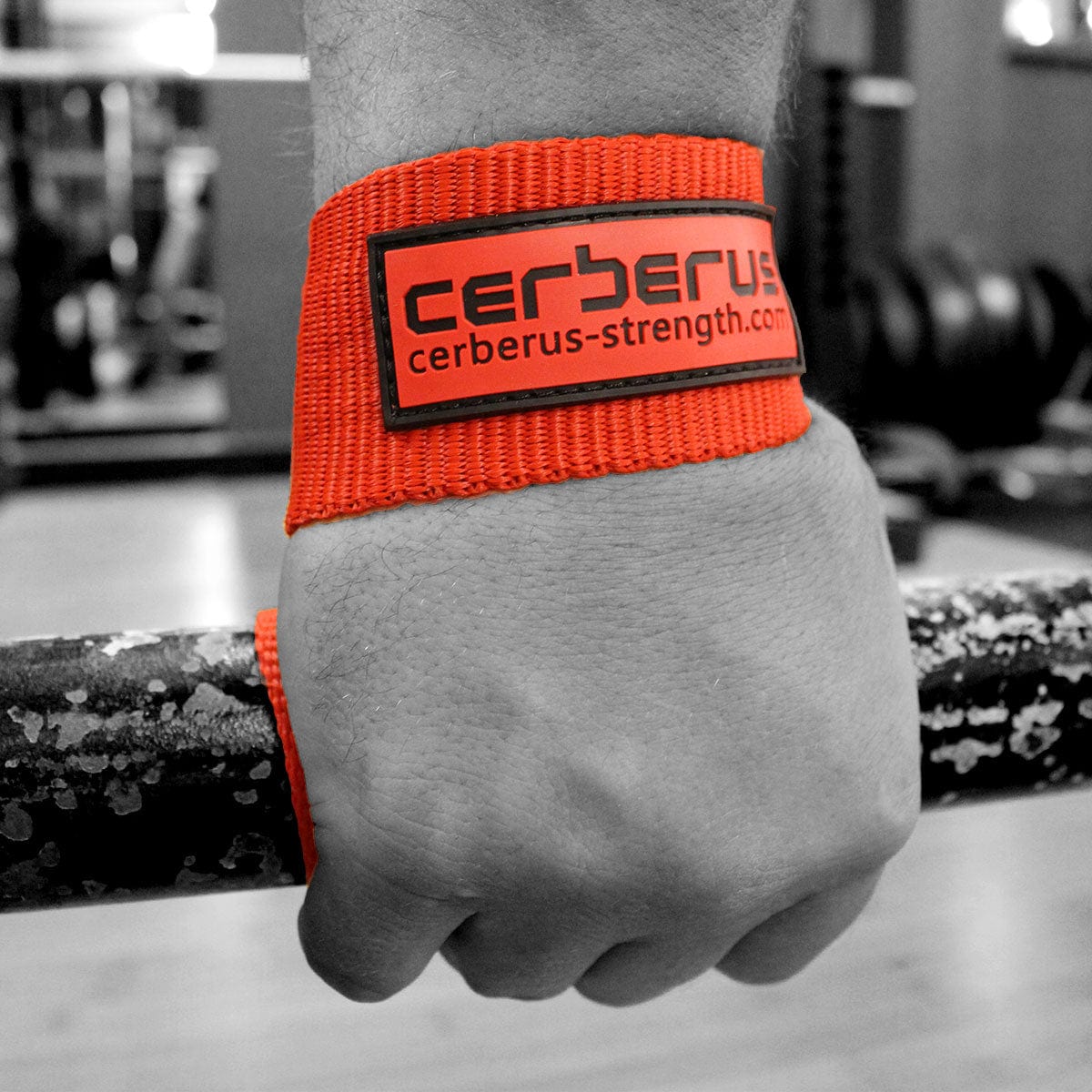 Cerberus Strength Elite Axle Bar Lifting Straps – Extra Wide Nylon