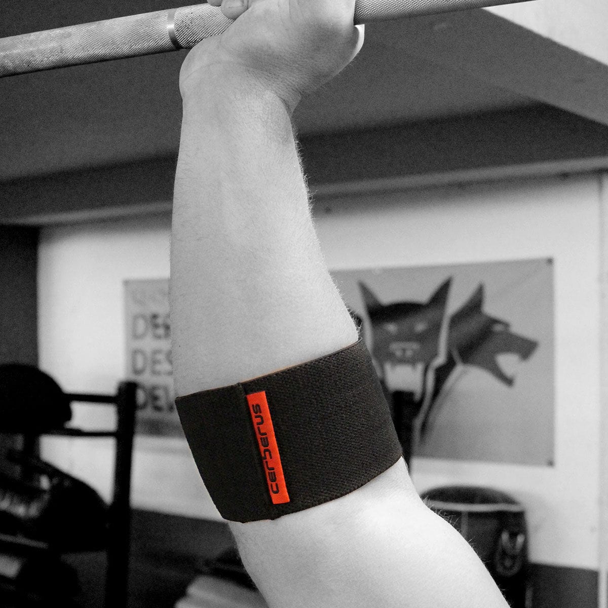 CERBERUS Multi Cuff – 8cm Compression Sleeve for Joint Support