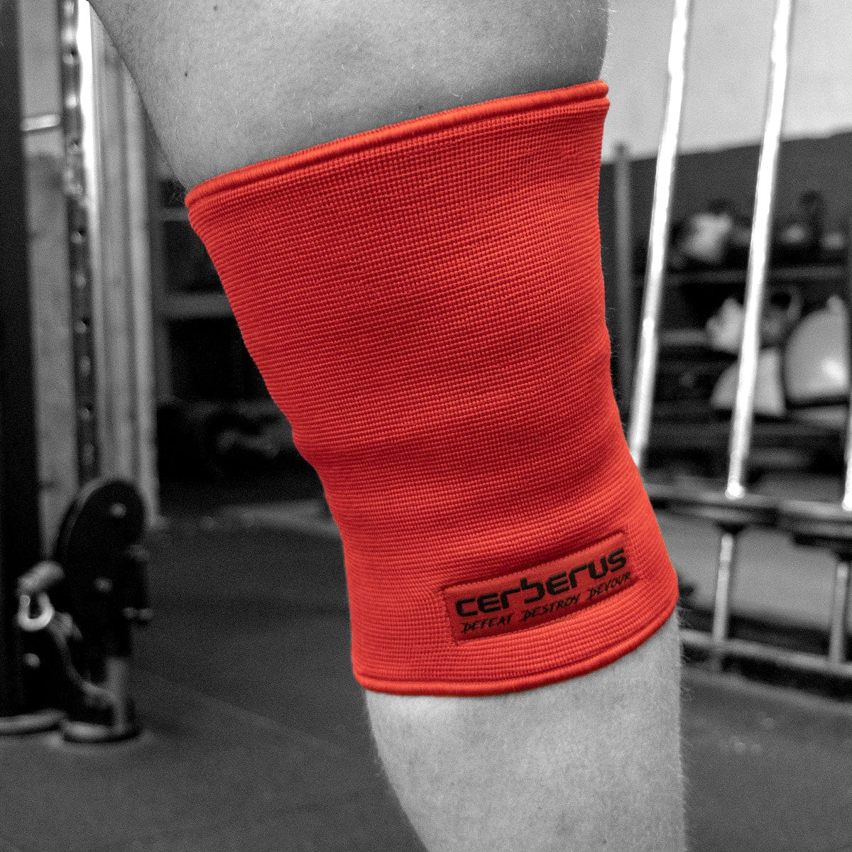CERBERUS Strength Triple-Ply Knee Sleeves – Heavy Duty Support (Pair)