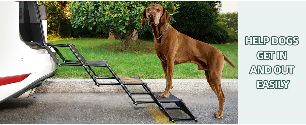 Fellie Foldable Dog Ramp – Adjustable Non-Slip Pet Steps for Cars, 176lbs