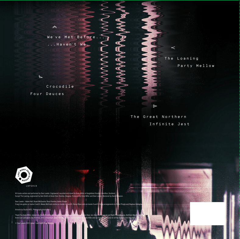 Deer Leader – We've Met Before Haven't We? Double Eco Vinyl Album