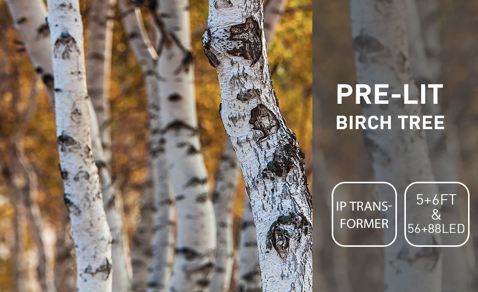 EAMBRITE LED Birch Tree Set 5FT & 6FT | Warm White Twig Trees