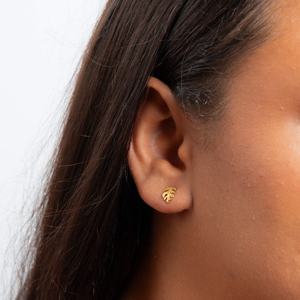 Monstera Leaf Stud Earrings in Recycled Sterling Silver | Gecko Jewellery