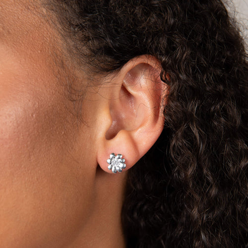 Laura Ashley Cosmos Flower Stud Earrings with Cubic Zirconia