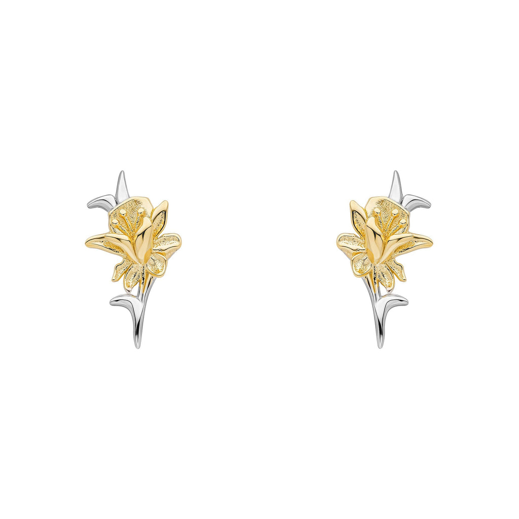 Laura Ashley Heritage Daffodil Stud Earrings in Gold-Plated Silver
