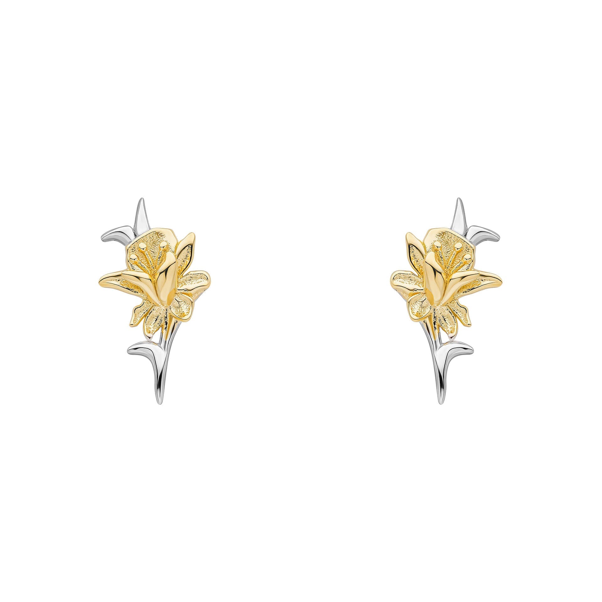Laura Ashley Heritage Daffodil Stud Earrings in Gold-Plated Silver