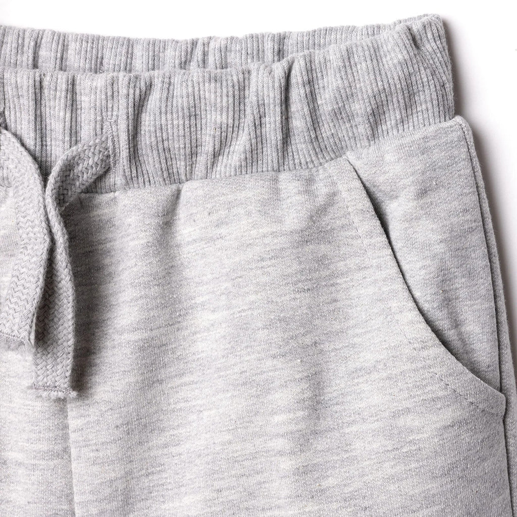 HelloBaby Cool Dino Jogging Set - Grey Melange
