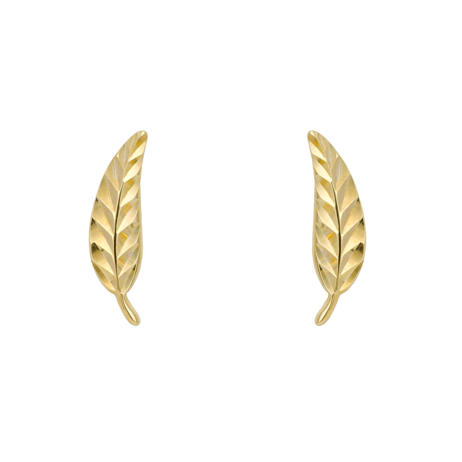 Gecko Jewellery 9ct Gold Feather Stud Earrings with Diamond Cut Finish