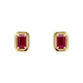 Gecko Jewellery 9ct Yellow Gold Octagon Precious Stone Stud Earrings