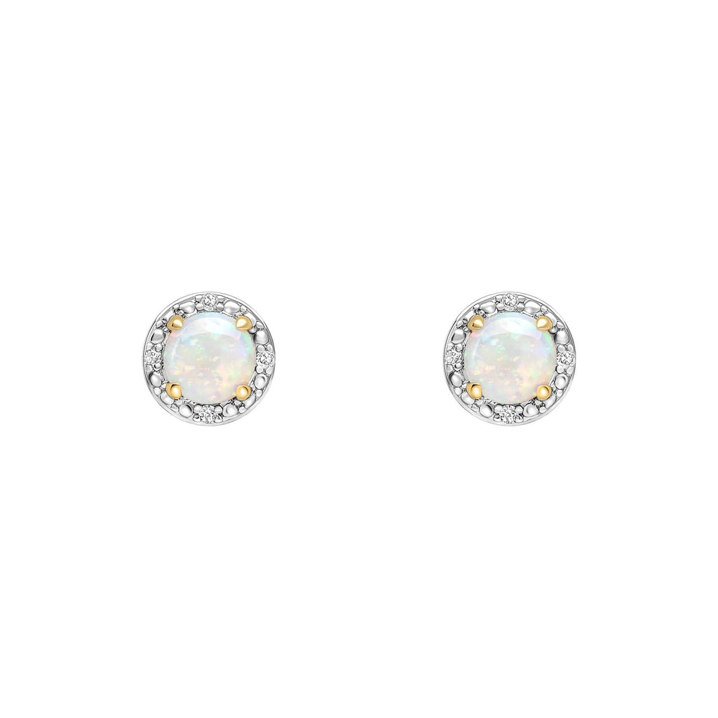 Gecko Jewellery Opal and Diamond Halo Stud Earrings in 9ct Yellow Gold