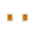 Gecko Jewellery 9ct Yellow Gold Octagon Citrine Stud Earrings