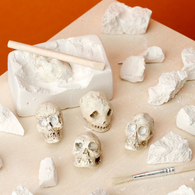 Kate's Clothing Gothic Skull Dig It Out Kit – Human Skull Excavation Set