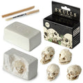 Kate's Clothing Gothic Skull Dig It Out Kit – Human Skull Excavation Set
