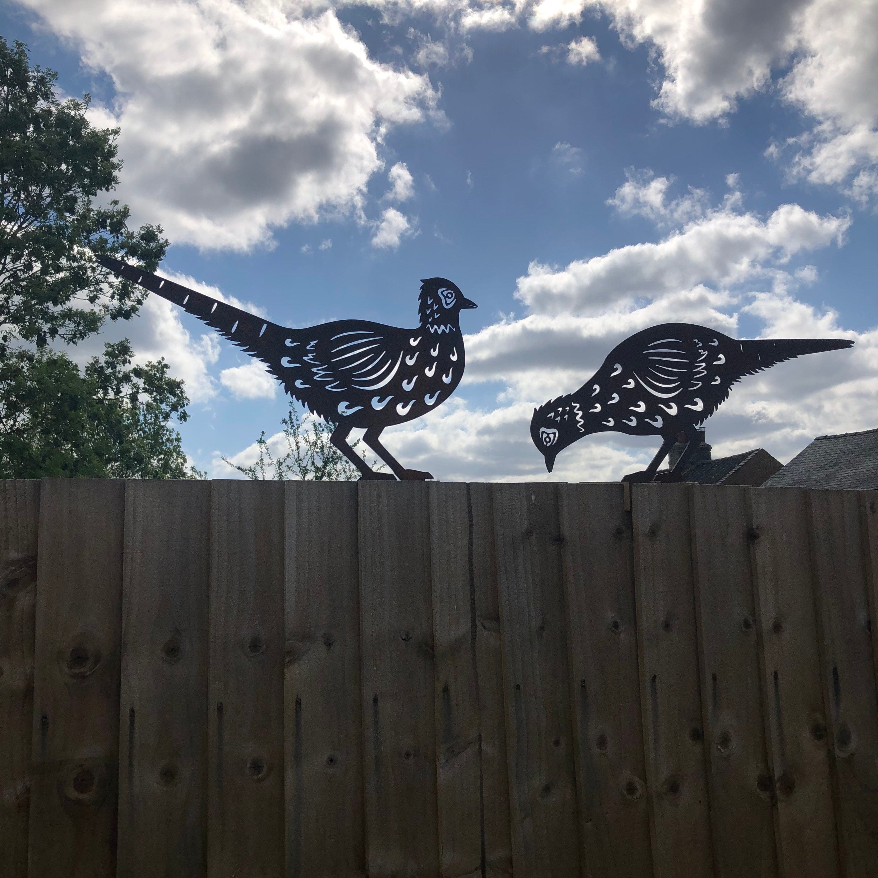 Rustic Metal Pheasant Garden Sculptures (Pair) | Rustic Warehouse Norfolk