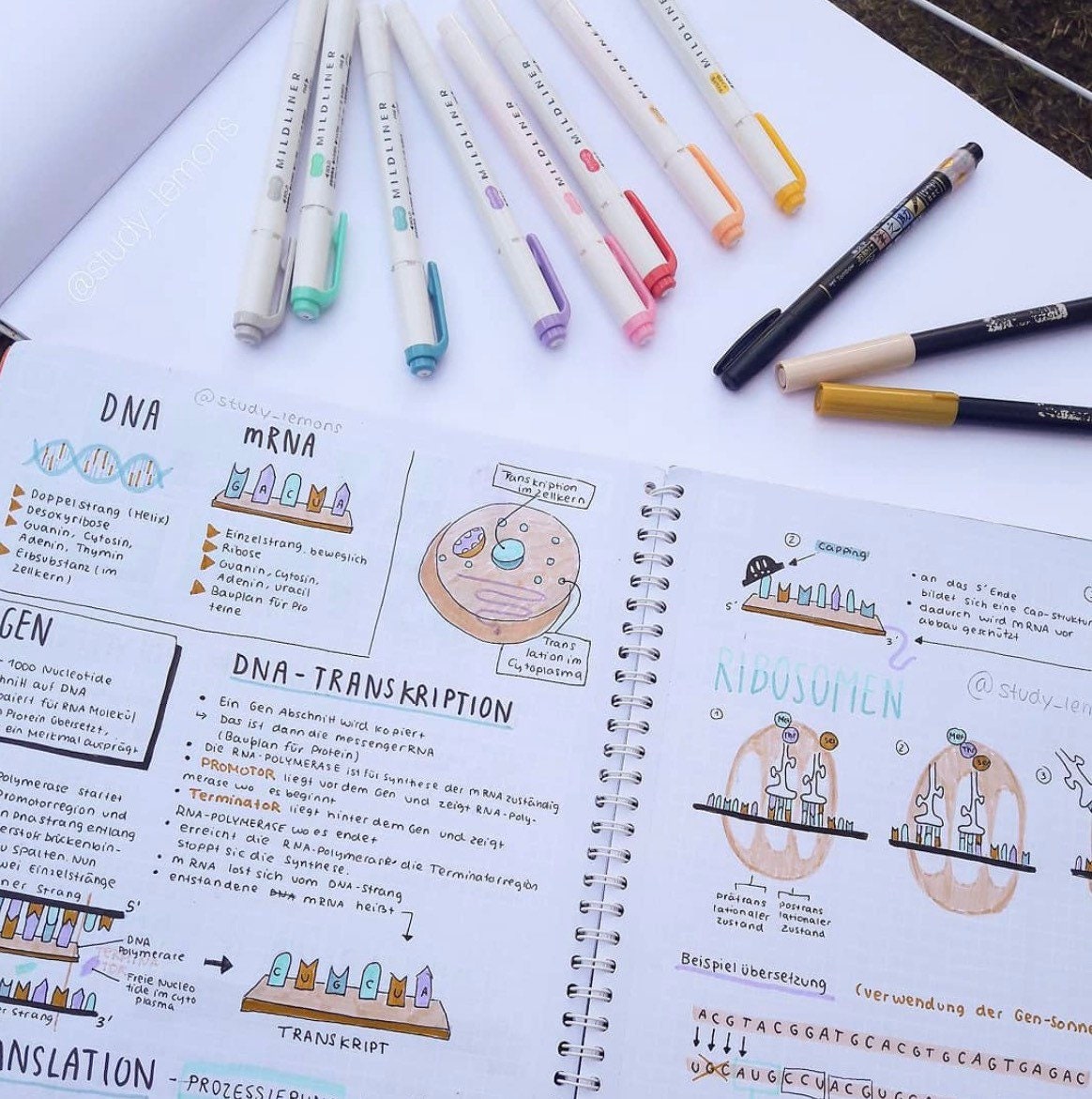 Zebra Mildliner Double Ended Highlighter - Water Resistant Ink
