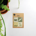 Suatelier Plain.50 Korean Decorative Stickers for Journaling - 3 Sheets