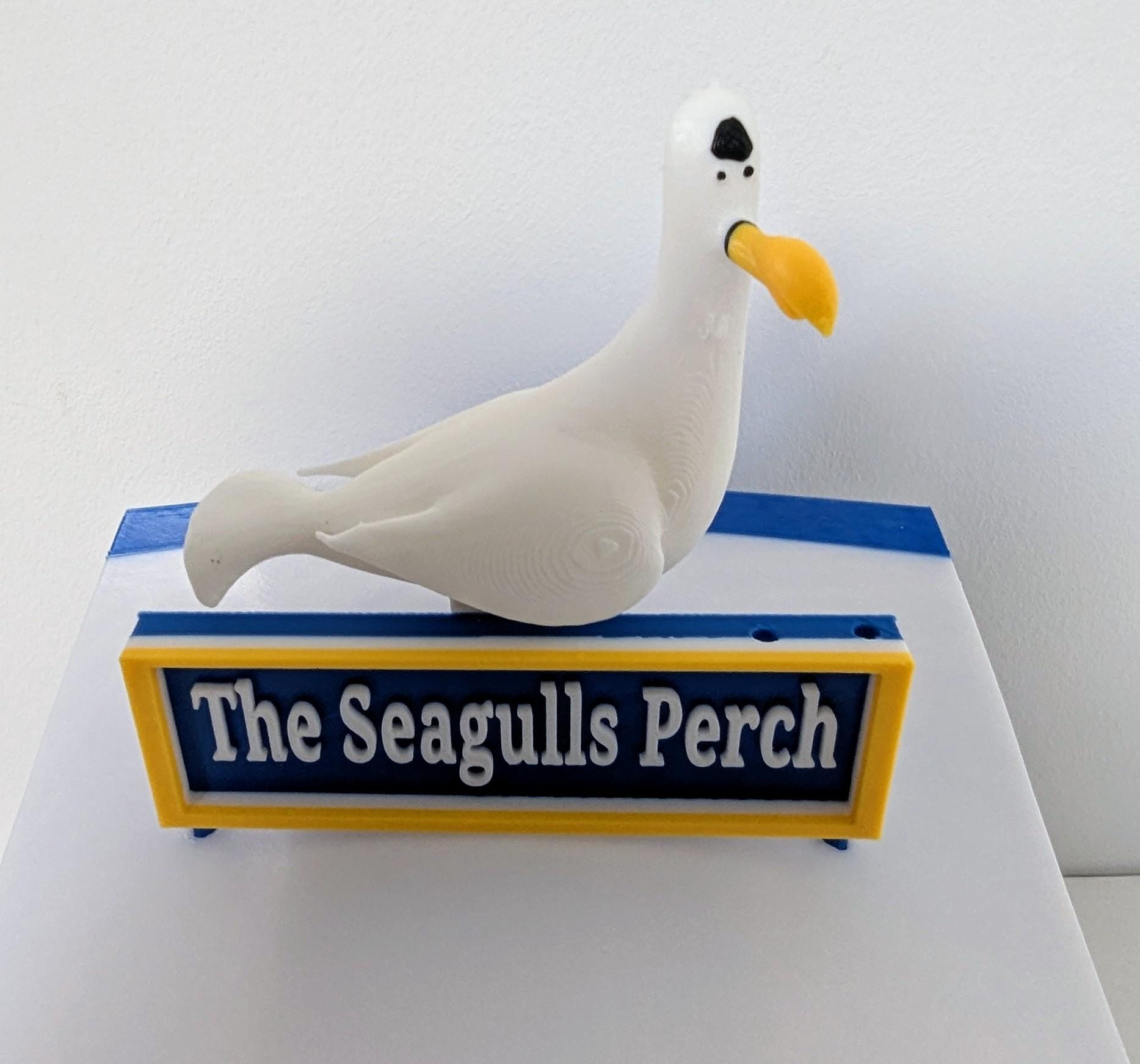 Chaddyverse Brighton & Hove Albion Bird Feeder – AMEX Stadium Edition