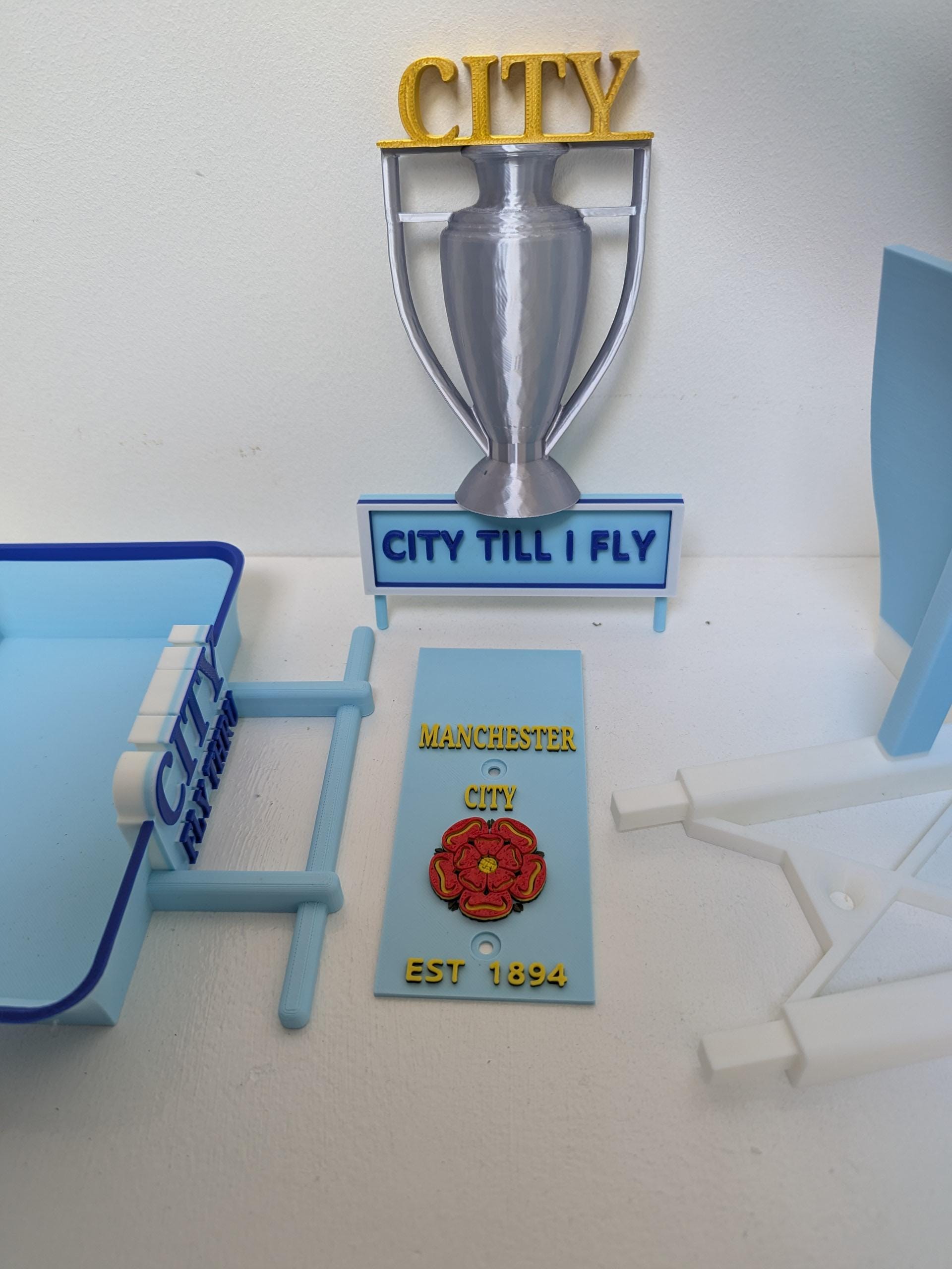 Chaddyverse Manchester City Bird Feeder – Sky Blue Football Fan Gift