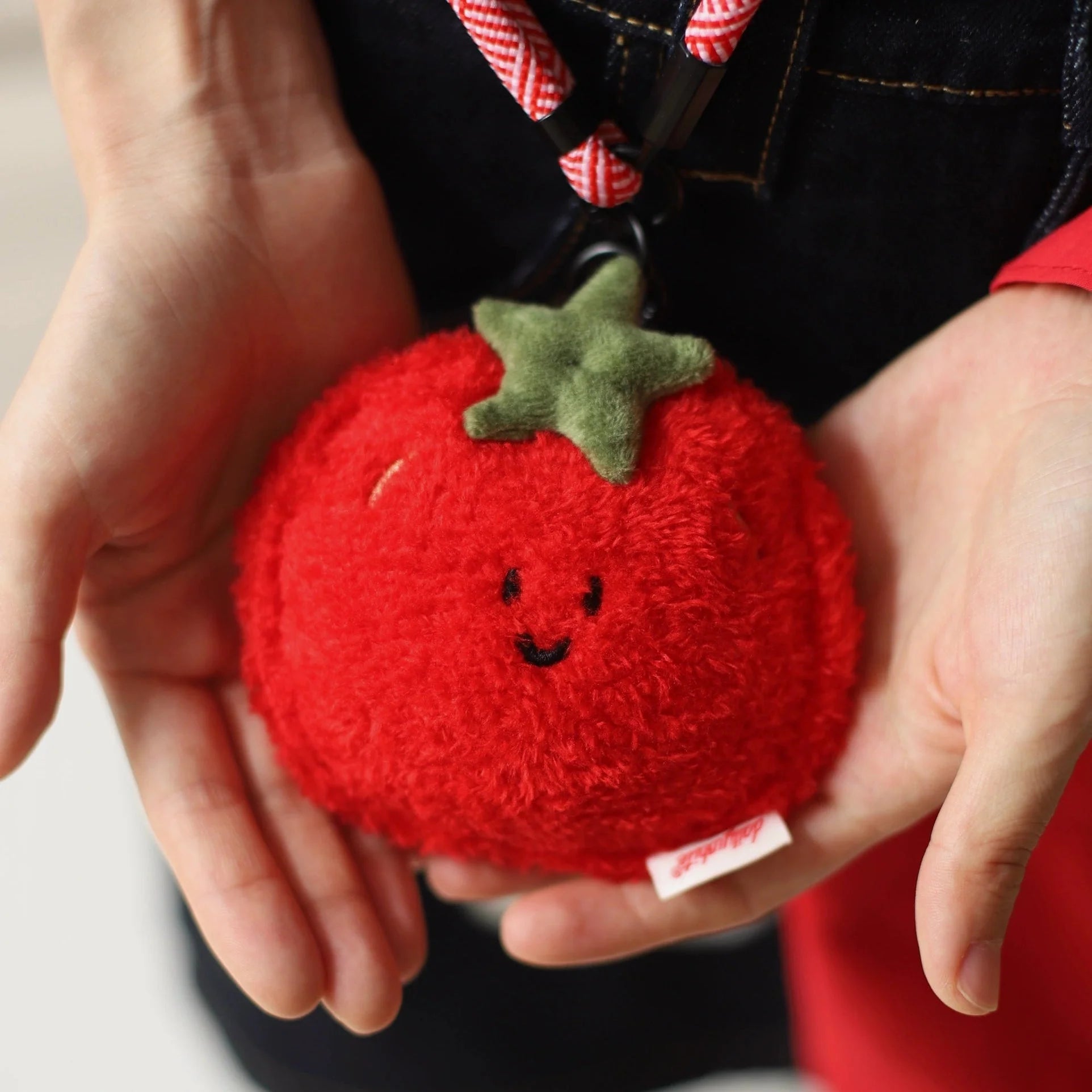 LuLuFun Studio Plush Tomato Mini Bag | Cute AirPod Pouch & Coin Purse