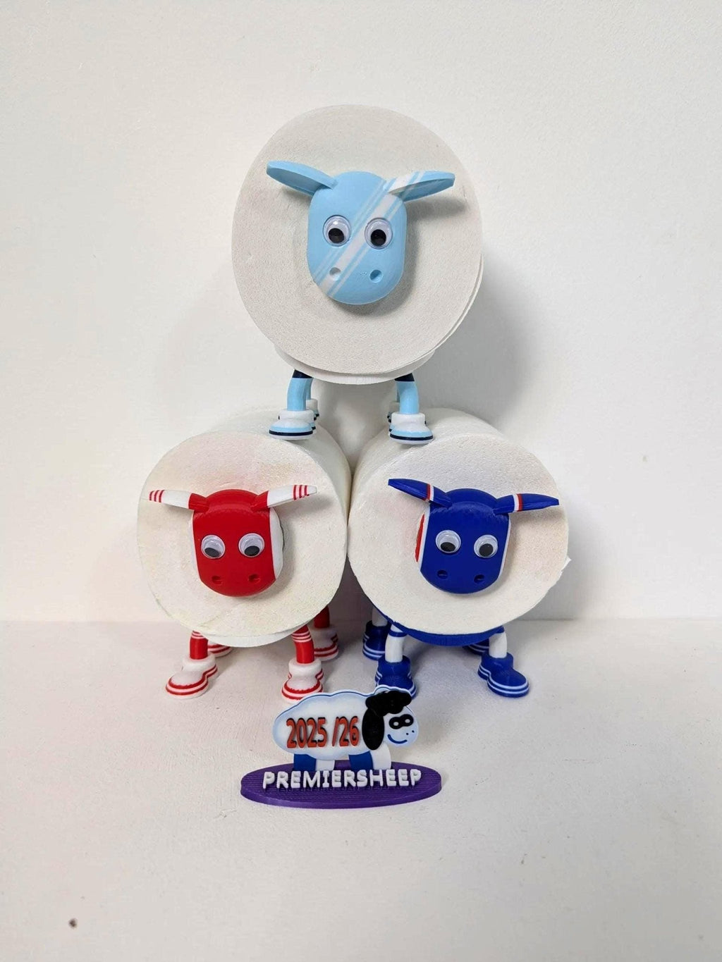 Chaddyverse Manchester City Bird Feeder – Sky Blue Football Fan Gift