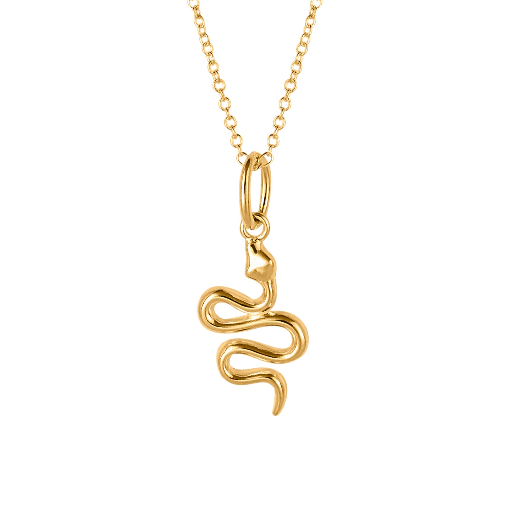 Snake Necklace in Recycled Sterling Silver by Gecko Jewellery Retail