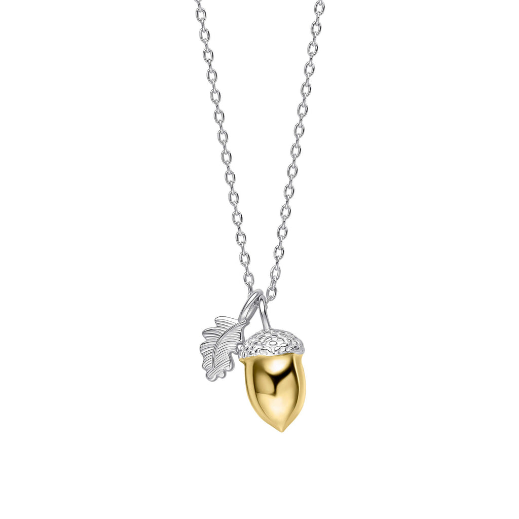 Gecko Jewellery Broadoak Acorn Necklace | Recycled Silver & Gold Plate