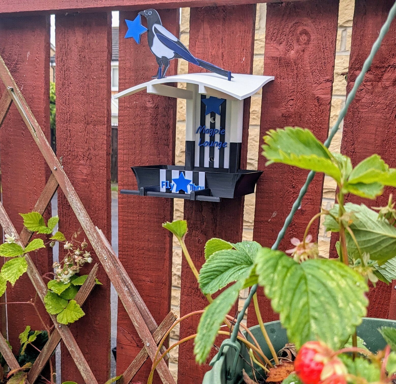 Newcastle United Bird Feeding Station – Champions League Edition
