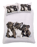 OLIVIA ROCCO Frenchie Duvet Set – Cotton Rich Vibrant Bedding Set