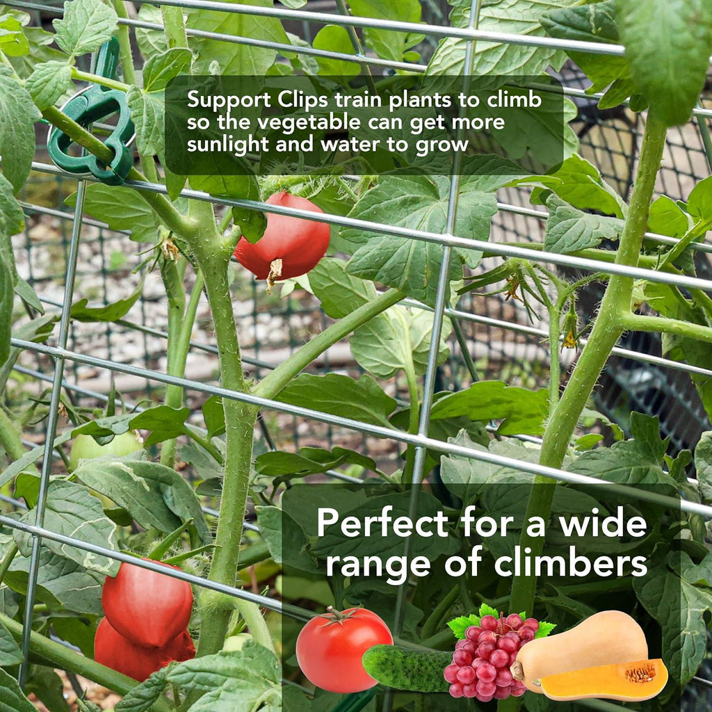 FYNIST Garden Trellis for Climbing Plants | Galvanized Steel Support
