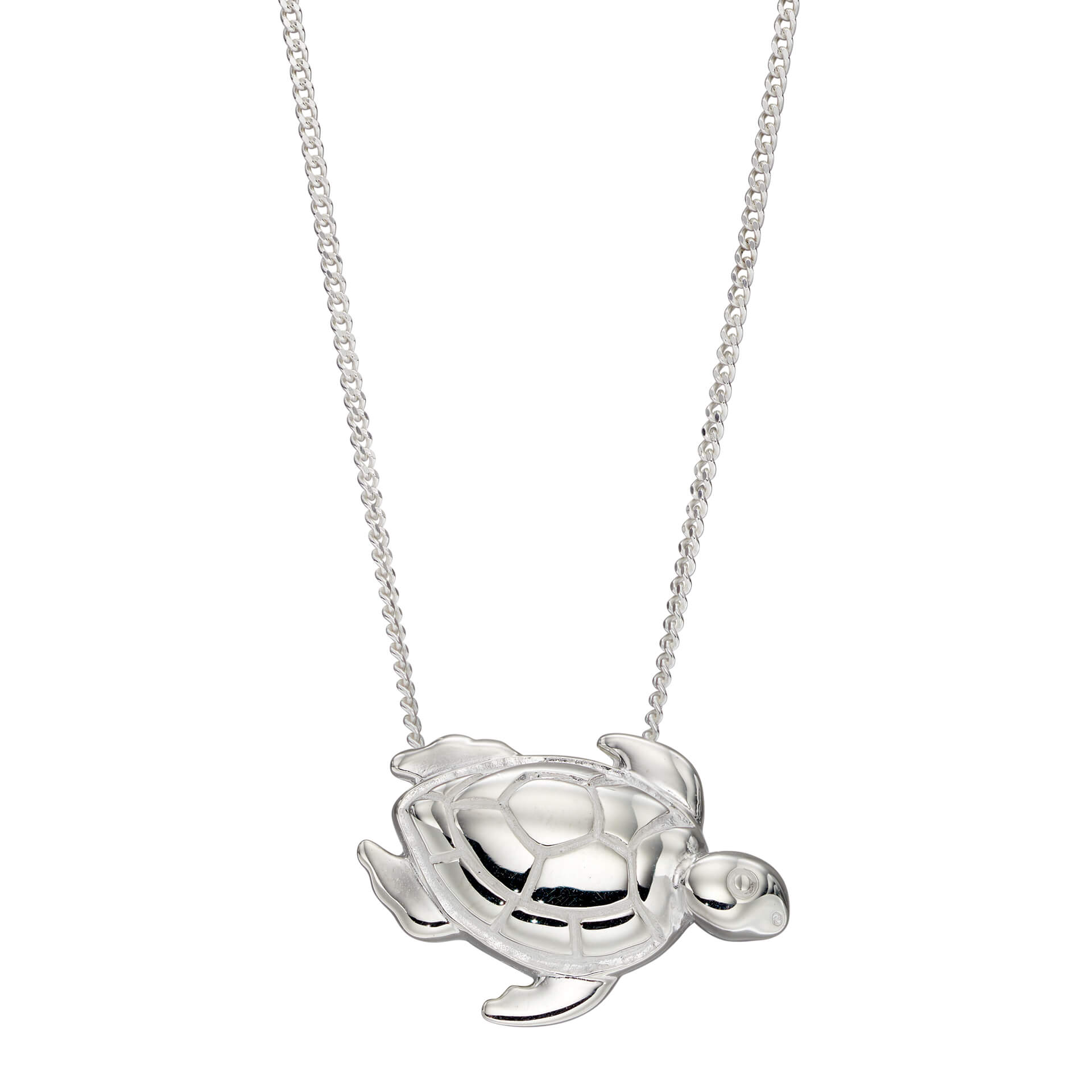 Turtle Pendant in Polished Silver by Gecko Jewellery Retail – Sea Life