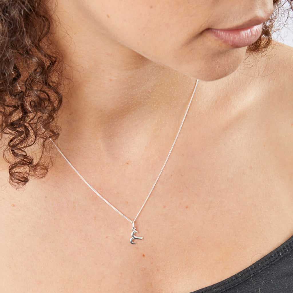 Gecko Jewellery Sterling Silver Zodiac Necklace - Constellation Pendant