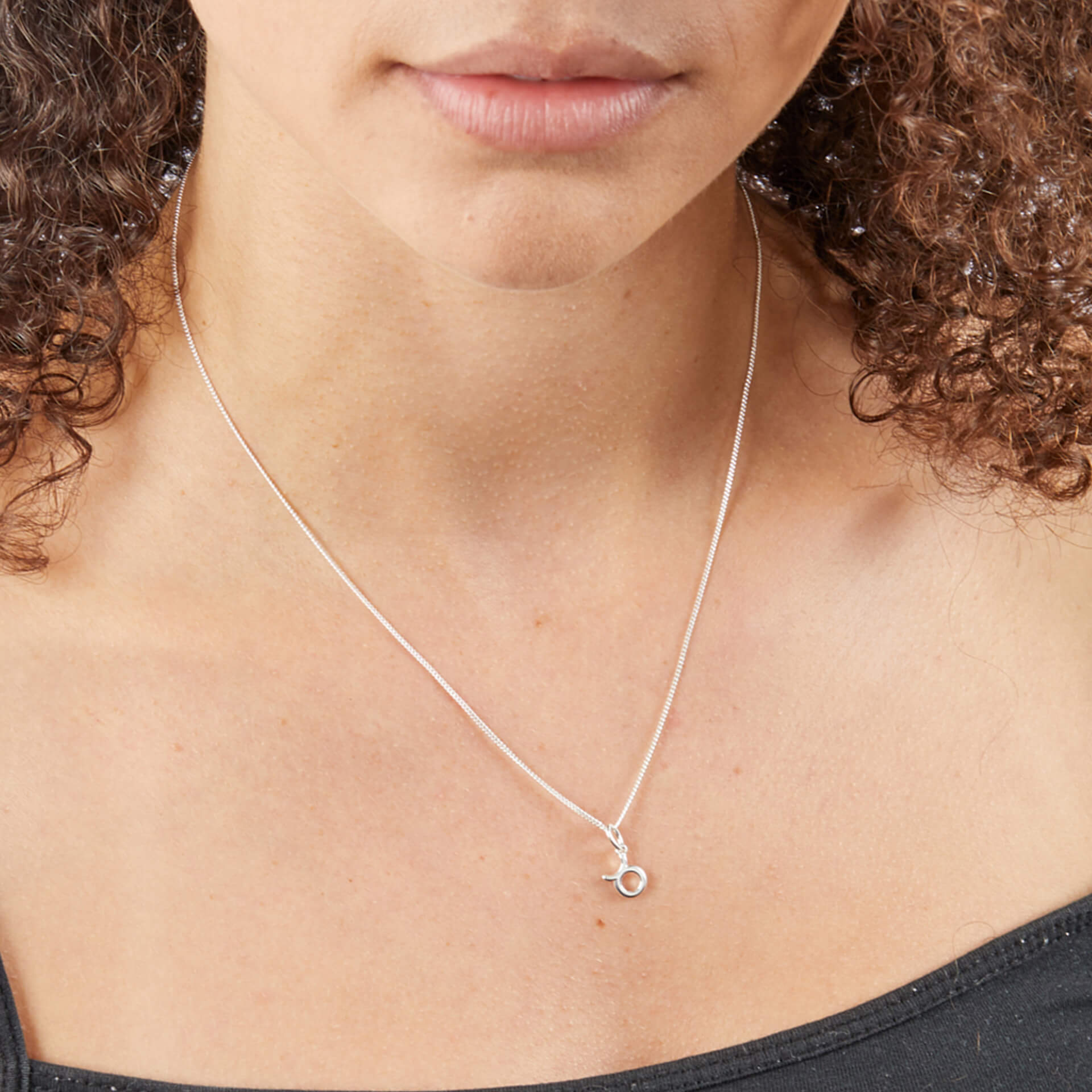 Gecko Jewellery Sterling Silver Zodiac Necklace - Constellation Pendant