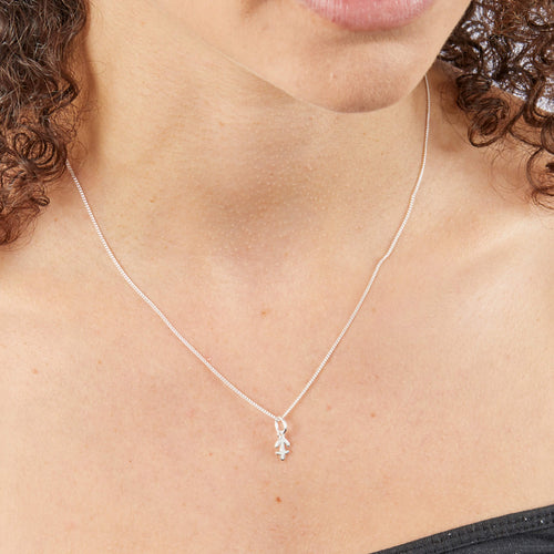 Gecko Jewellery Sterling Silver Zodiac Necklace - Constellation Pendant