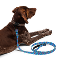 First Home Pet leash