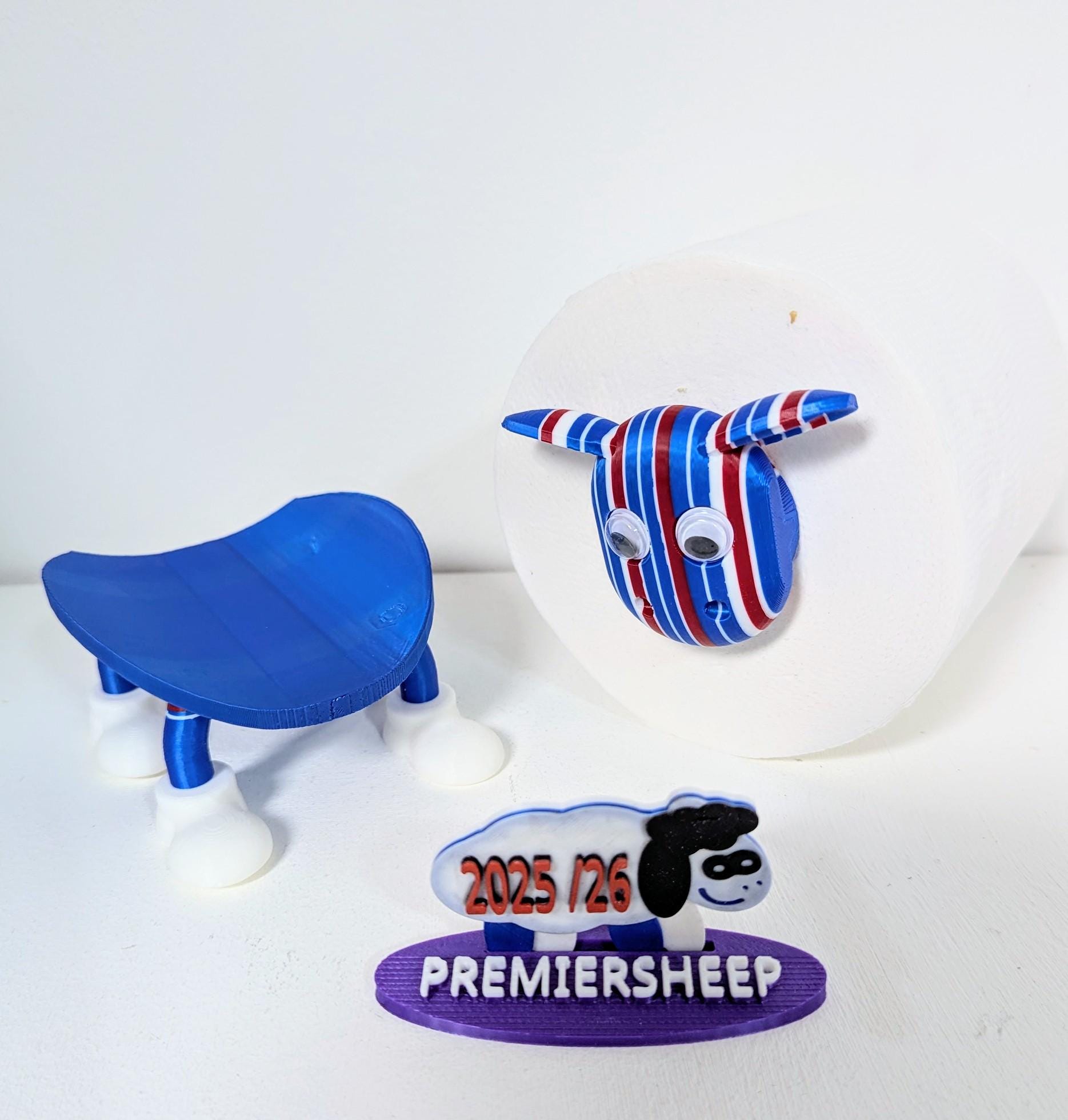 Chaddyverse Carlisle United Toilet Roll Holder – 2025/26 Football Fan Gift