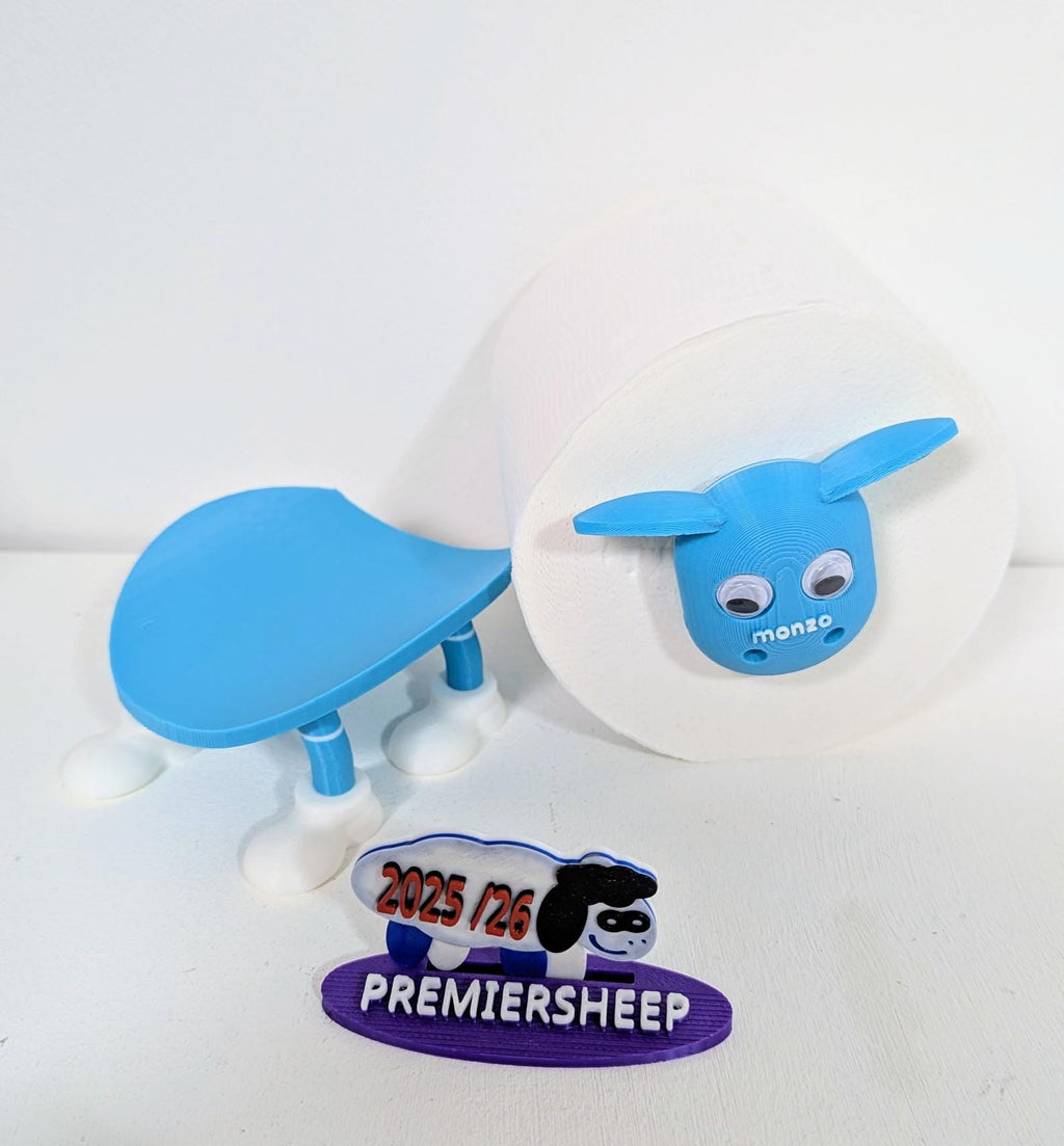 Chaddyverse Coventry City Toilet Roll Holder – 2025/26 Football Fan Gift