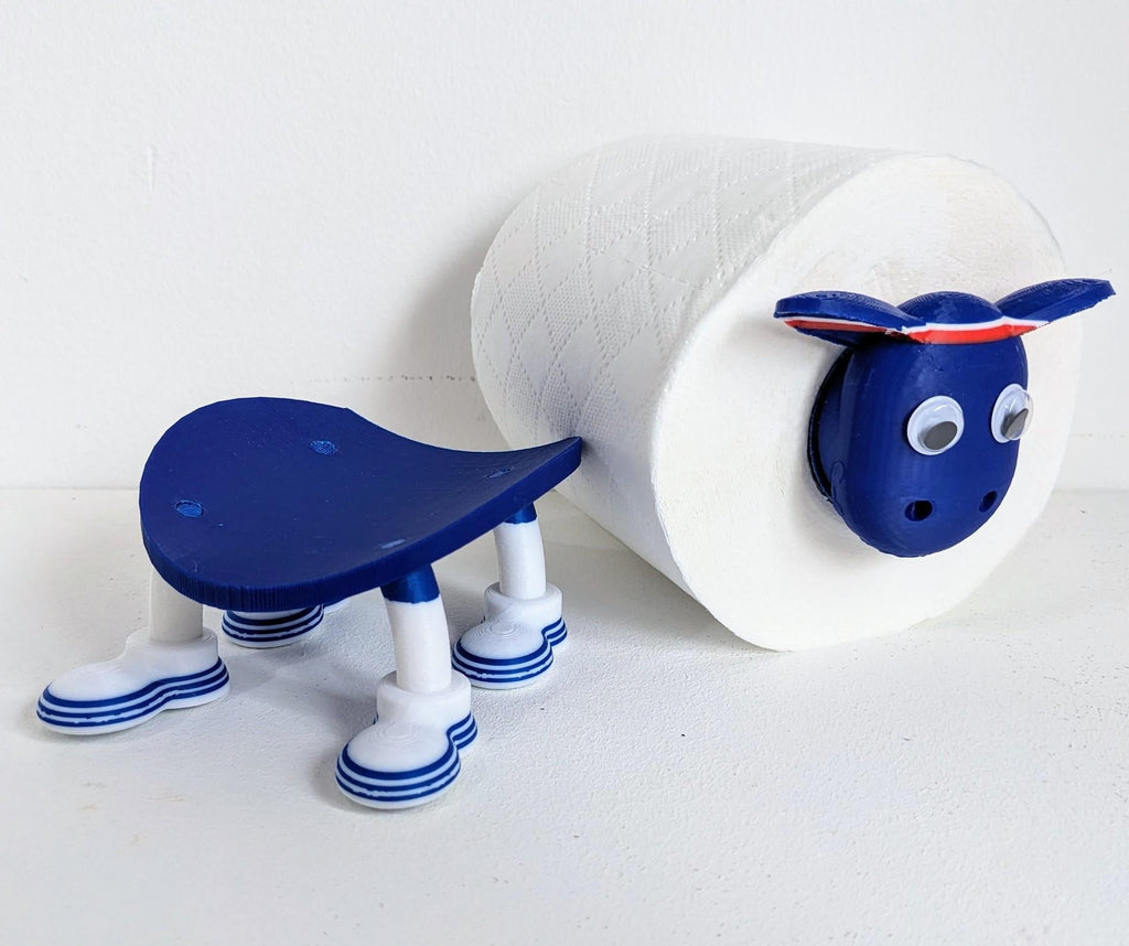 Chaddyverse Rangers Toilet Roll Holder – 2025/26 Football Fan Gift