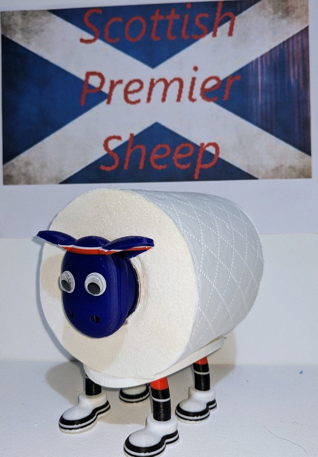 Chaddyverse Rangers Toilet Roll Holder – 2025/26 Football Fan Gift