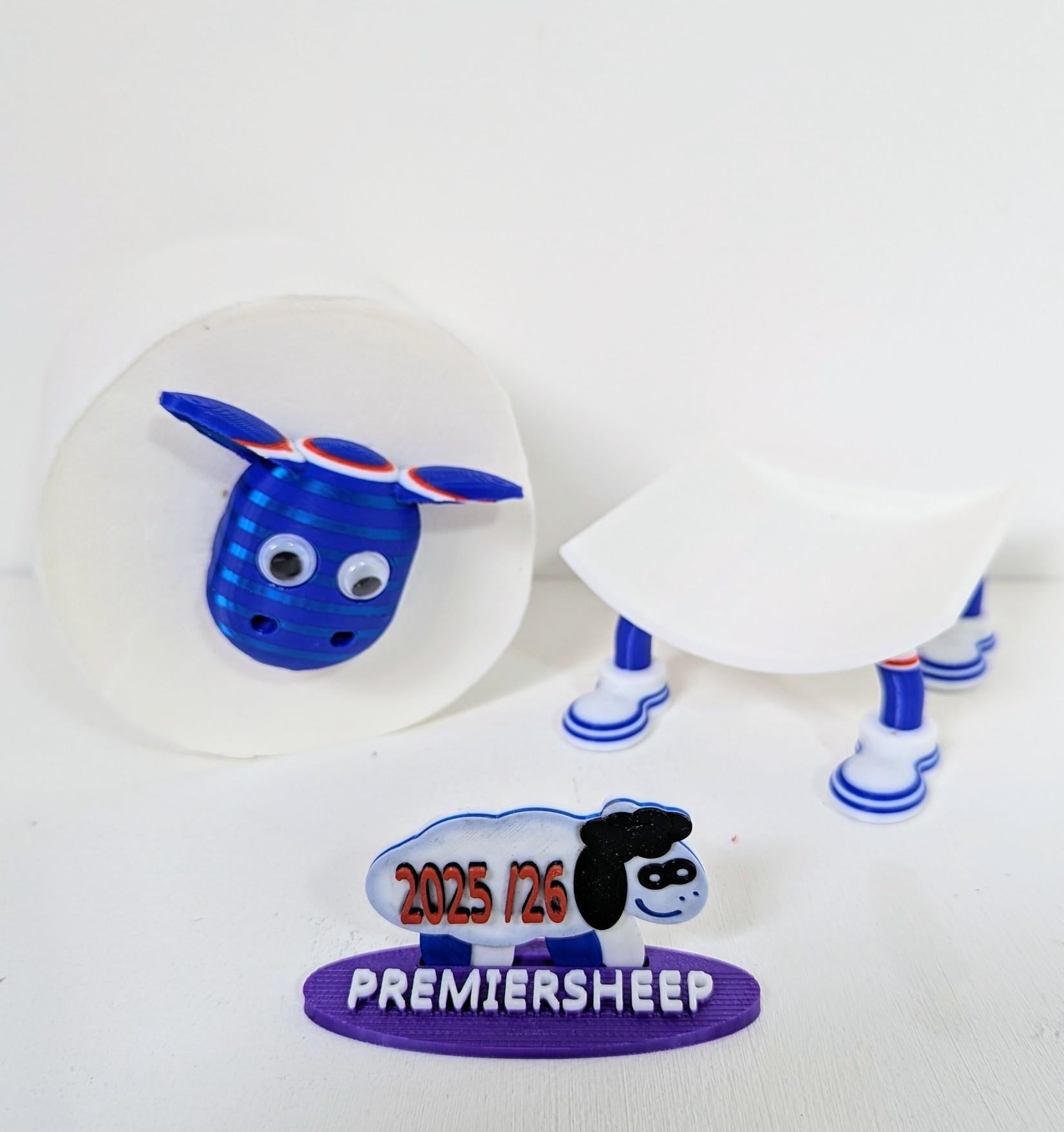 Chaddyverse Ipswich Town Toilet Roll Holder – 2025/26 Football Fan Gift